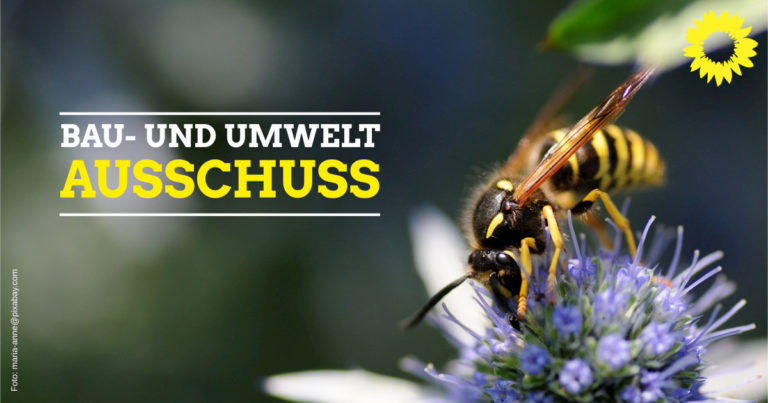 Bau- und Umweltausschuss 30. Juni