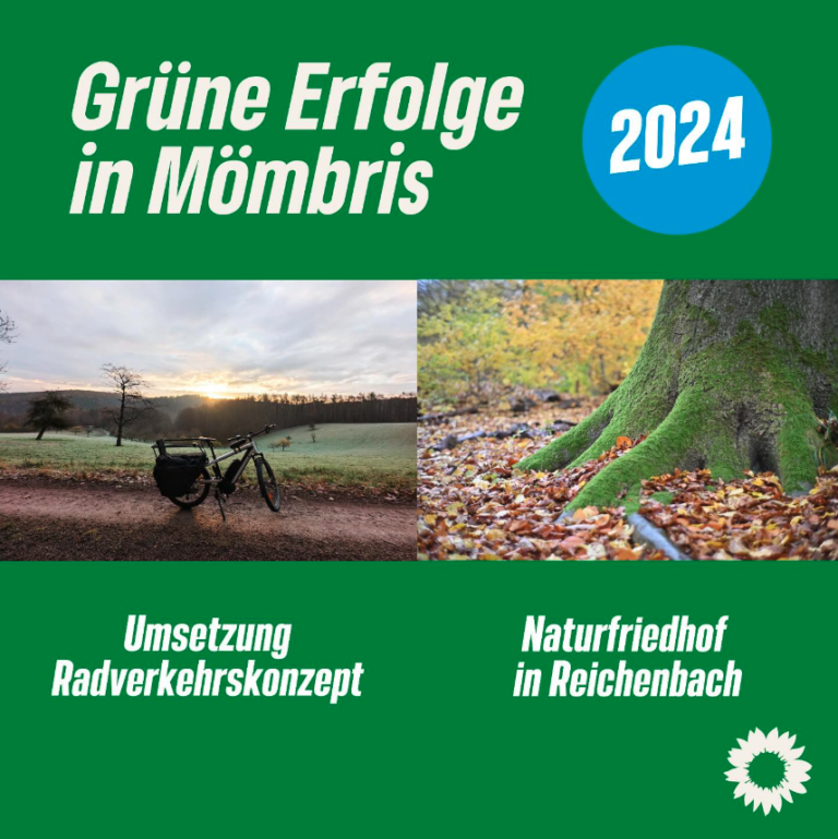 Grüne Erfolge 2024