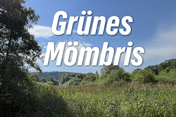 Grünes Mömbris